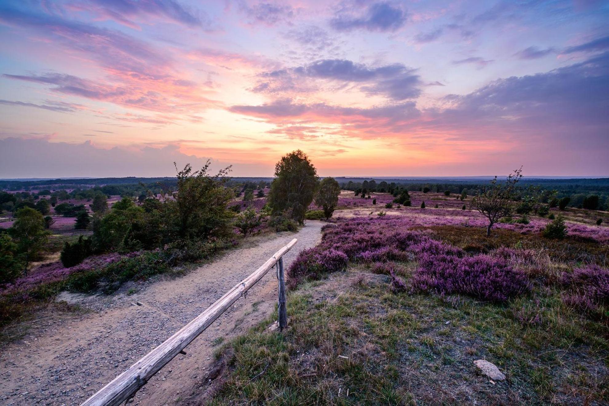 Heidehof Oberhaverbeck Βίλα Bispingen Εξωτερικό φωτογραφία