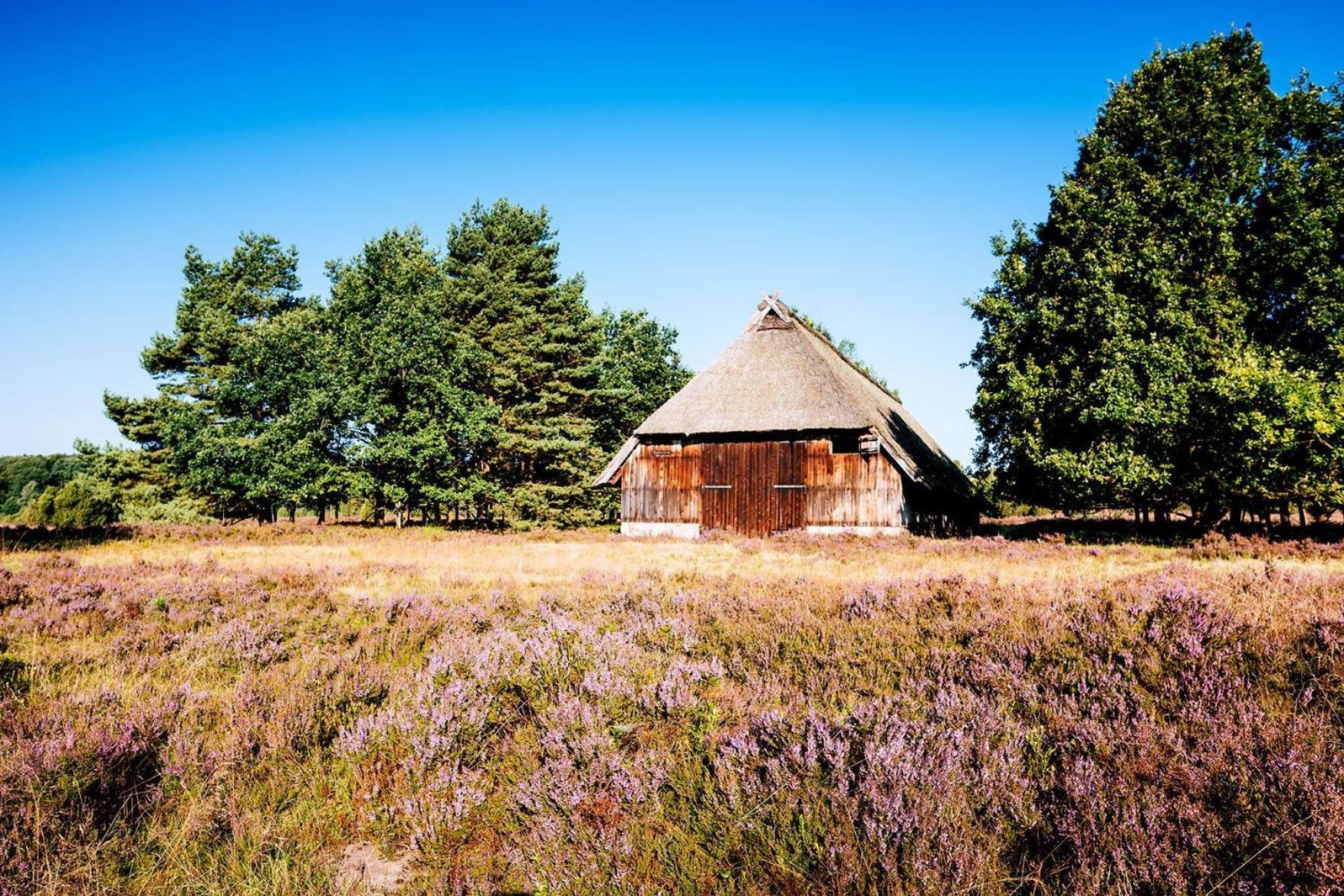 Heidehof Oberhaverbeck Βίλα Bispingen Εξωτερικό φωτογραφία