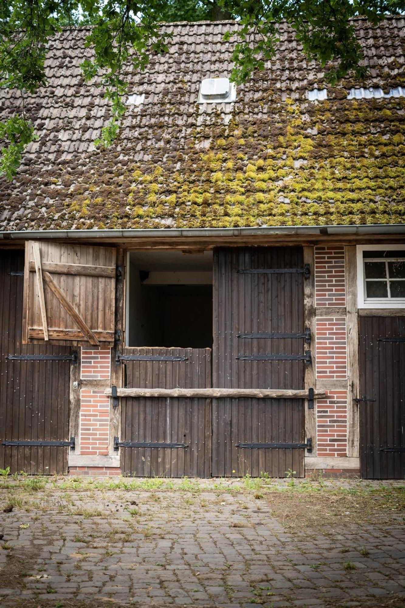 Heidehof Oberhaverbeck Βίλα Bispingen Εξωτερικό φωτογραφία